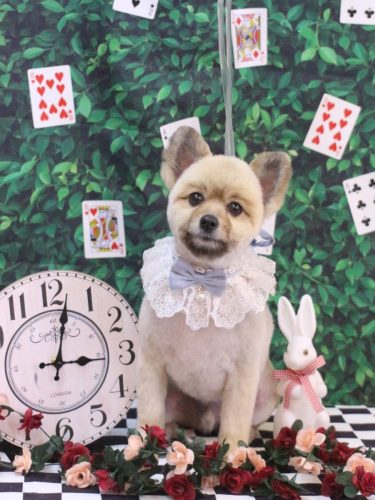 20250416りとくん